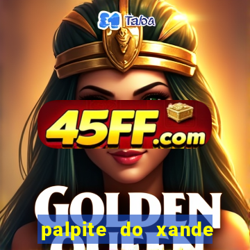 palpite do xande de hoje